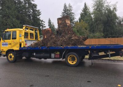 stump hauling