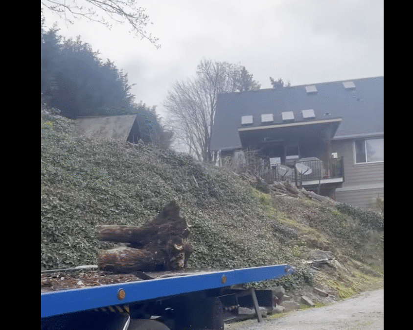 Tow Truck Near Me